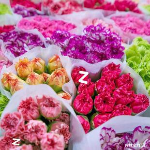 Yunnan Carnation Flower Bouquet Base Direct Delivery Fresh Cut Flowers Hydroponic Perfume Flower Arrangement Lily Mother's Birthday Gift