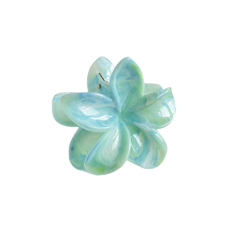 38g Weight Hair Claws Hair Accessories Type 1 Piece Quantity Casual Occasion Plastic, Resin Material Plumeria Pattern Women's Gender Simple Style Style Simple Style Women's Plumeria Plastic Resin Hair Claws 12