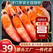 北极甜虾带籽新货新鲜特大北极熊带籽冰虾冷冻熟冻海鲜刺身超大