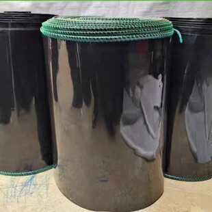 100���з����Ĥ�Ӻ����r�BֳĤ���~���lз�S�X���ܷ��Ӈ���ץ�~