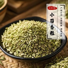 新货正宗甘肃小茴香小香茴香香料调料火锅卤肉料卤菜批发产地货源