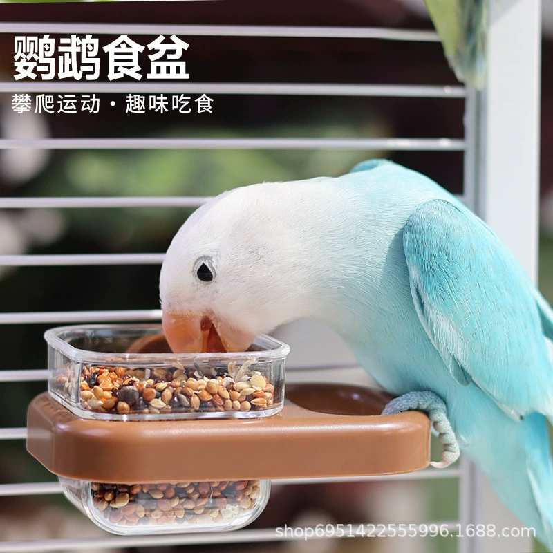 Коробка для попугая Кормушка для пищевых пионов Маленькая солнечная кормушка для кормления