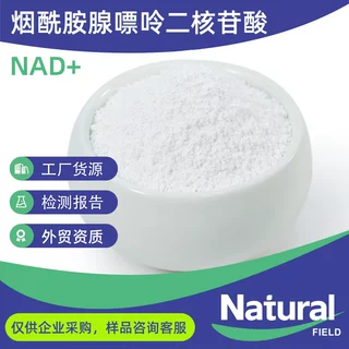 出口级NAD+ β-烟酰胺腺嘌呤二核苷酸98% 拿样现货NAD+粉末