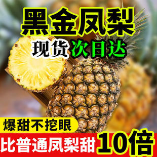【爆甜】正宗黑金凤梨手撕金钻凤梨当季超甜香水菠萝现摘整箱包邮-阿里巴巴