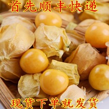 Sr]ϮaخaFժSС1aֱN