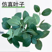 �����~�ӾGɫֲ��õ�廨���컨������~