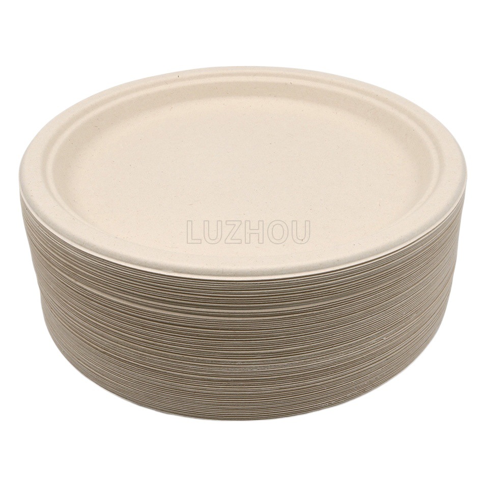 Fábrica verde al por mayor Pulpa de bagazo Pulpa de bambú disco de 10 pulgadas ecológico vajilla desechable degradable compostable