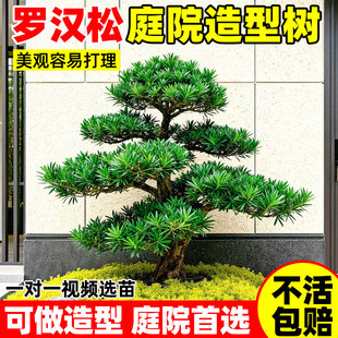 �_�h��ͥԺ���͘�e���辰ӭ���������Ϙ���������������F�G����