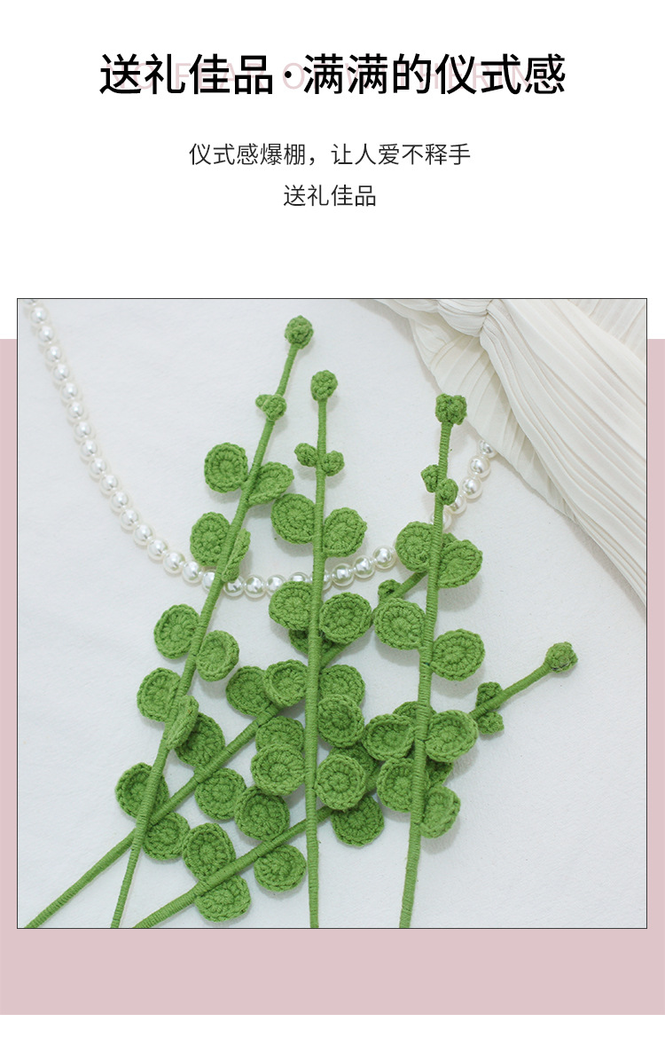 Eucalyptus leaf dried flower finished products, Instagram-popular plants, Nordic-style hand-woven everlasting flower arrangements and ornaments wholesale pic 3