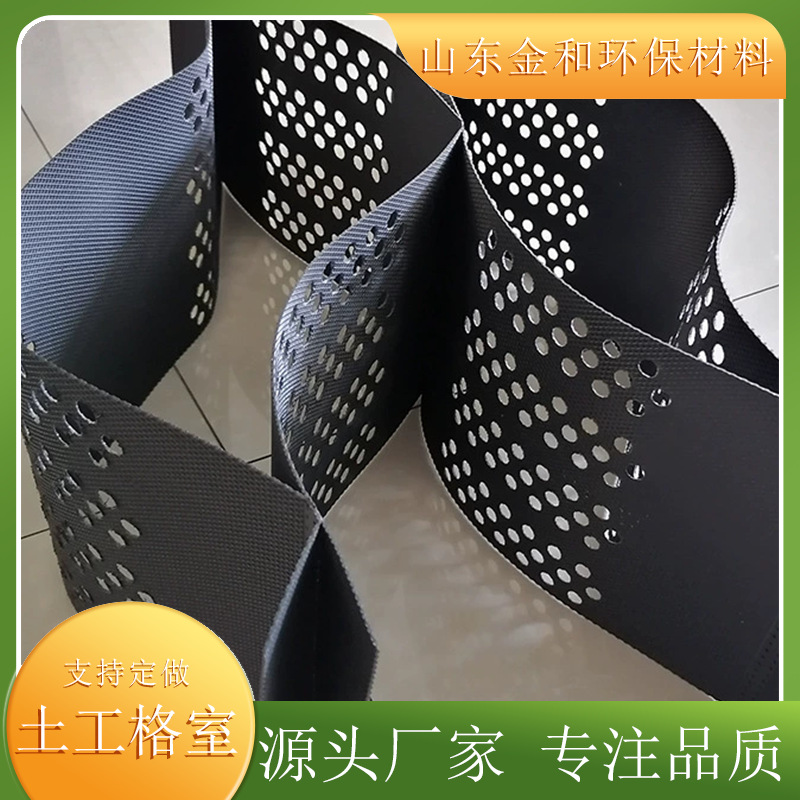 路基加固HDPE高强打孔蜂巢土工格室河道护坡治理三维压花土工格室