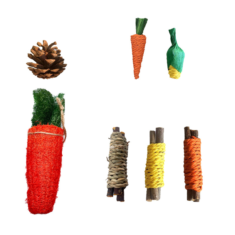 Transfronterizo mascota molar traje conejo hámster Totoro mordedura aliviar juguete relleno combinación pequeña mascota juego suministros venta al por mayor