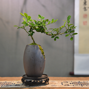 С�~�h֦������������ʽ�辰�҃��k���ҕ���ֲ���ļ������b[��