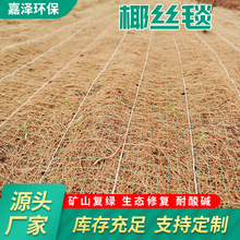 Ҭ�z̺���B�G���o��ֲ��ֲ̺���w�S̺��ɽ�ޏͼӽ�_�� ��̺�S