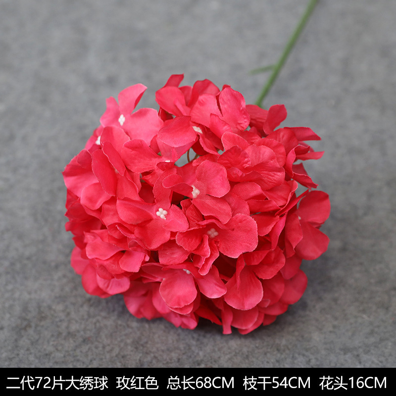 잎이없는 2 세대 단일 수국 (72)