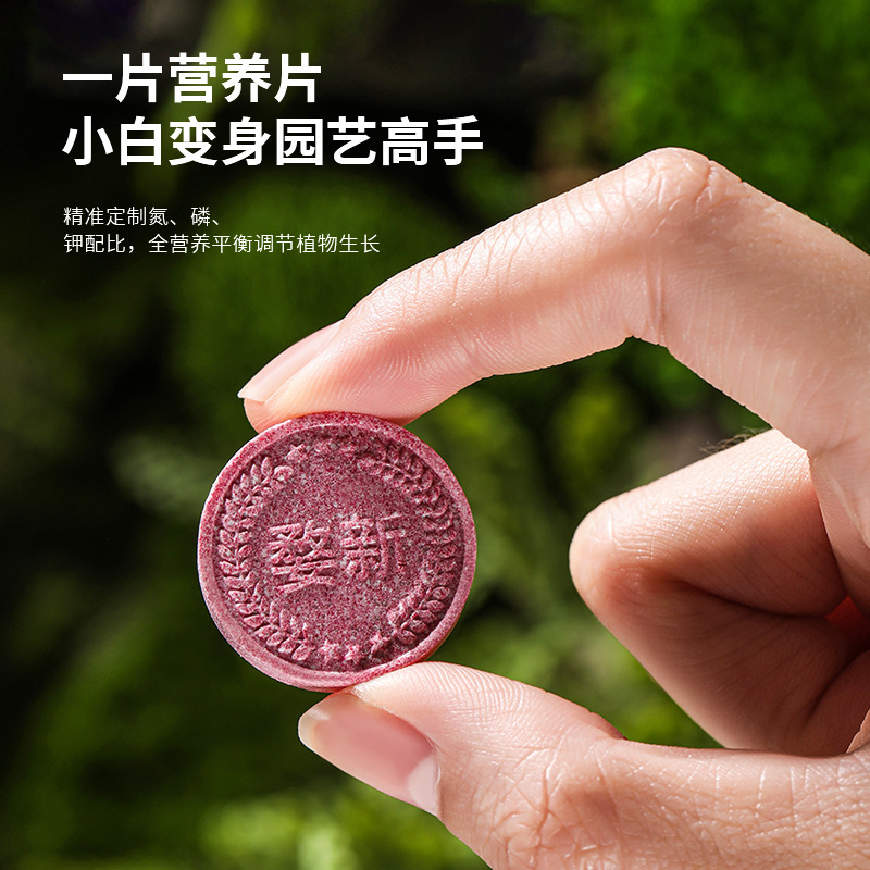 植物栄養徐放片栄養片種花専用肥料養花窒素リン花肥鉢植え家庭花卉花園|undefined