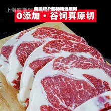 ����IBP�{������ţ��  ����/���������Ϳ����F�������ţ��