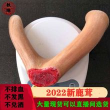 吉林双阳梅花鹿茸鲜整只枝根男性滋补泡酒送礼品1.7一克材