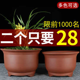 宜兴特大号紫砂兰花盆盆景君子兰绿萝陶瓷陶盆阳台种菜盆