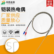 鎧裝熱電偶K型191熱電偶帶插頭溫度傳感器不銹鋼探針溫度傳感器