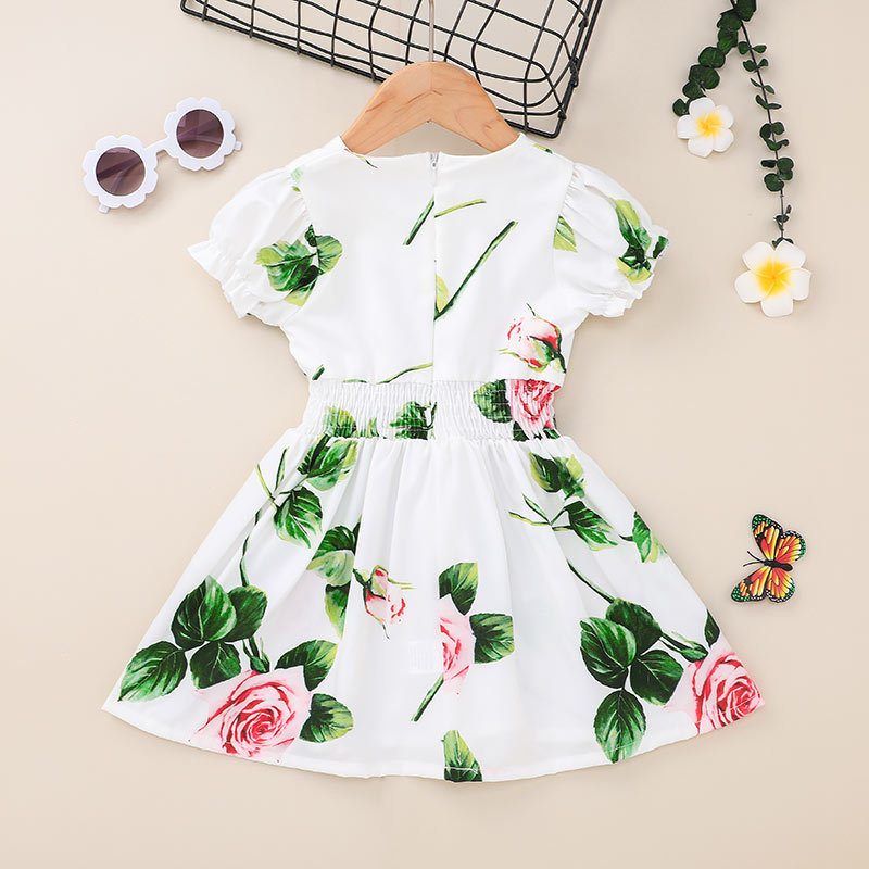 Kids' Skirt Clothing 2021 Summer Short-sleeved Printed Dress Chiffon Baby Girl Princess Dress Cross-border display picture 5
