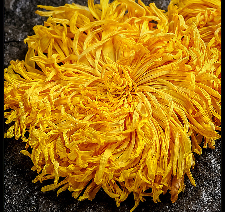 Golden Silk Imperial Chrysanthemum Flower Tea Dried Yellow Chrysanthemum Blossoms 20g Yunnan Herbal Tea specifications