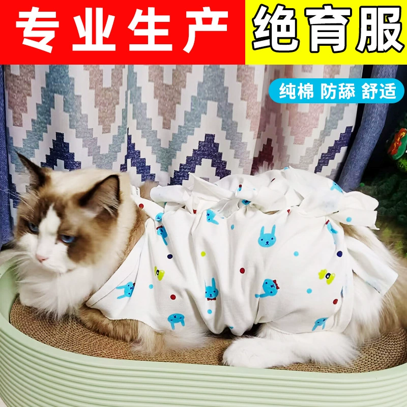 Домашние животные кошки стерилизуют после операции