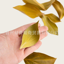 ޼���~�M�ڸɻ��ɘ��~�Ӹ�֦�ɹ���������b[�O����