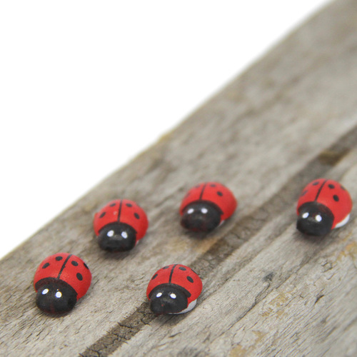 Micro-landscape mini ladybug, wooden beetle, cartoon beetle, moss micro-landscape succulent ornaments