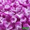 Purple+white petals (1000 pieces)