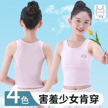 直播新款儿童内衣发育期夏季薄款女童一阶段小学生少女文胸小背心