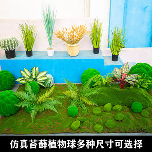 ����ֲë�A��ֲ�����̦�\�������̦��ܛ�b��픻�c�����̈��b�