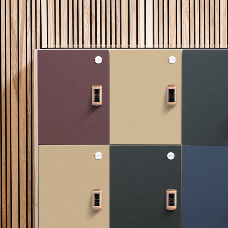 更衣柜电子柜锁ID锁储物柜桑拿锁批发金属桑拿锁感应锁洗浴