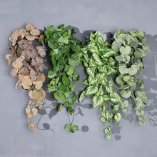 �����~���K�~����Gֲ�ߙn�Ҿ��bڙ�ֲ����Դ�������ֲ��