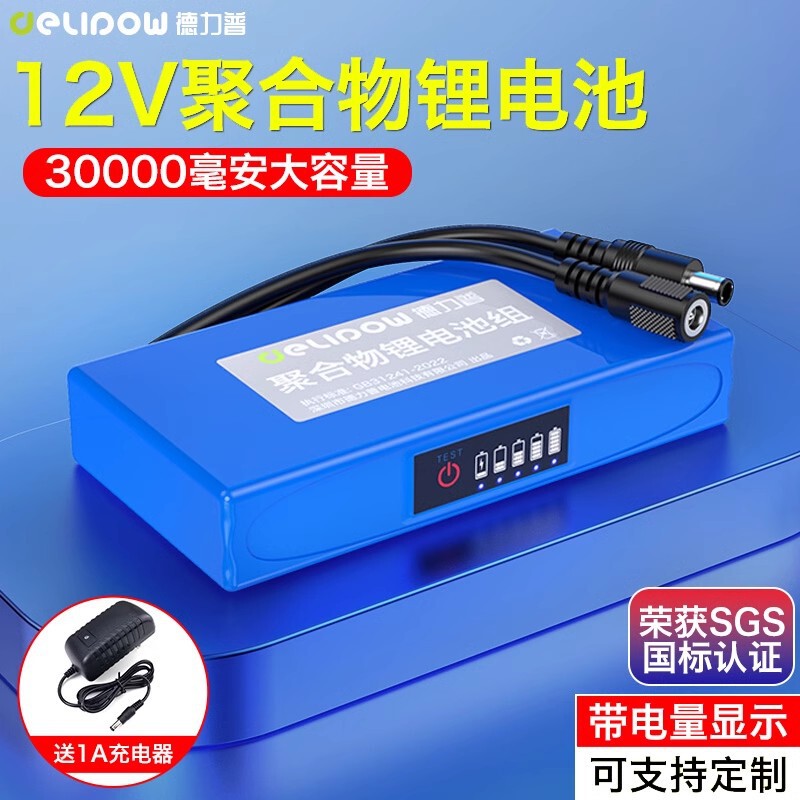 Delipu 12v polymer lithium ion battery 24V lithium battery instrument battery 12v polymer battery