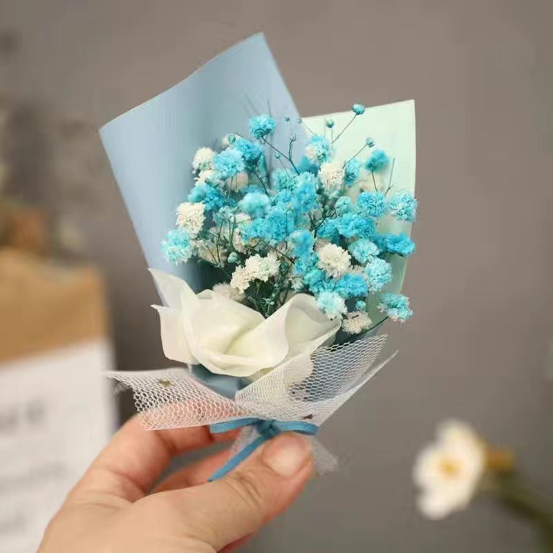 블루 스타 미니