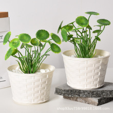 塑料花盆多肉种植盆绿植盆栽简约创意仿竹编加厚耐用家居装饰花盆