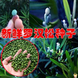 ���r���~�_�h�ɷN�������辰С�~�ձ�̨��ȸ���ɘ�N��ͥԺ������