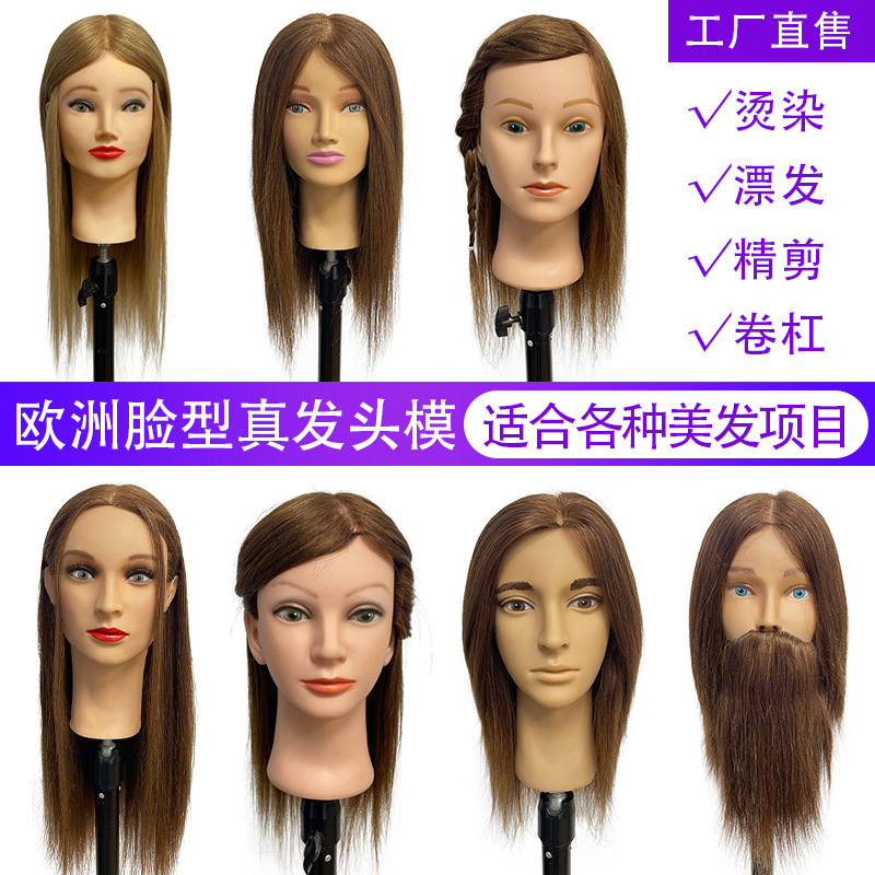 Real Hair Head Model Human Hair Teaching Head Dummy Head Mannequin Perm and Dye Cutting Hairdressing Teaching Hairdressing Tool