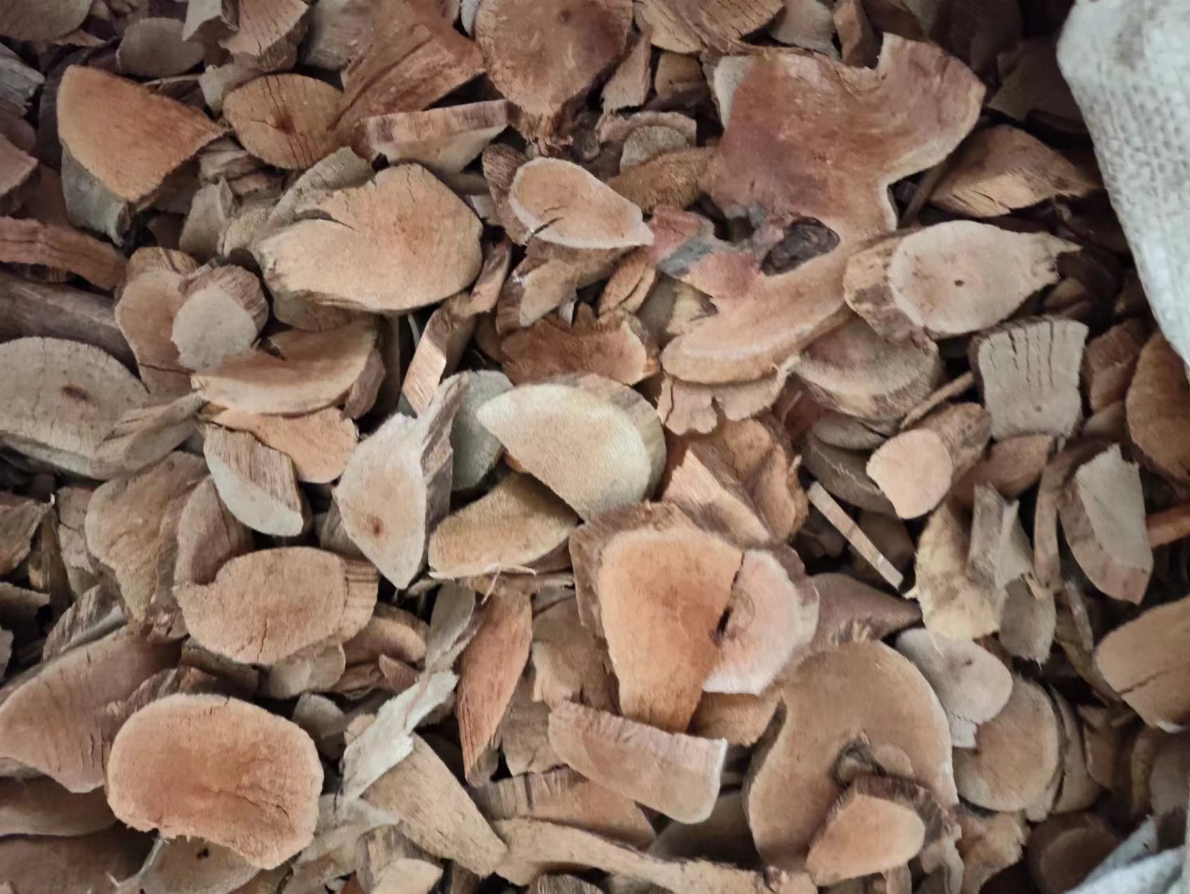 Hei Lao Hu (Kadsura coccinea) — Dried TCM Vine Root & Fruit, 500g quality and texture