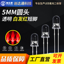 F5�װl�t���_ 5mm�A�^�����t�� �t�� led�tɫ���� �l����O��