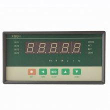 XSB-I/A-H1TRV0N force value display controller Shanghai Shangrun instrument