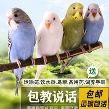 �W�^���B������B����С�B녰��W�^��С�͕��fԒ���B��Ƥ�W�^����