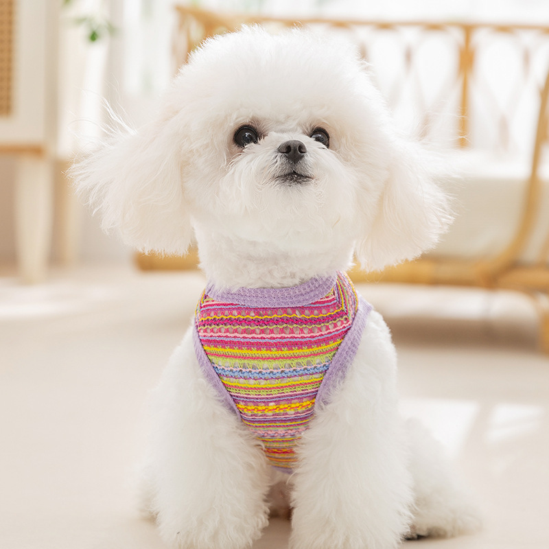 Chaleco tejido multicolor bohemio hueco perro primavera y verano gato Teddy Bichon ropa para mascotas de dos patas