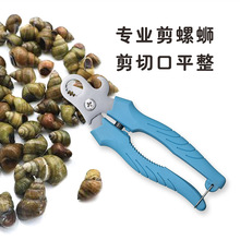 �¿����ݼ�����·��呴��ݽz�Qȥβ�Q��ʳƷ���N��б���Q��β��