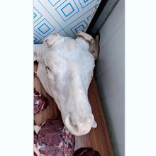 ¹�^¹�� ����¹�l�����¹��ֻ�r¹��¹�^�|���p�¹�l���l¹��