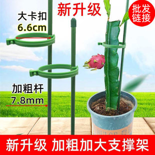 Potted Plant Fixed Anti-Lodging Leaf Protection Frame Rose Flower Branch Support Frame Succulent Butterfly Orchid Support Frame