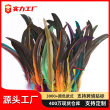 ��ɫ���uβ20-25cm��̨��������^�diy�b��϶�؈��؈�����ë
