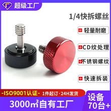 ����1/4���C�zӰ����ݽz�̨���b�����ݽz�X�Ͻ��֔Q�ɲ�Ó���