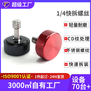 ����1/4���C�zӰ����ݽz�̨���b�����ݽz�X�Ͻ��֔Q�ɲ�Ó���