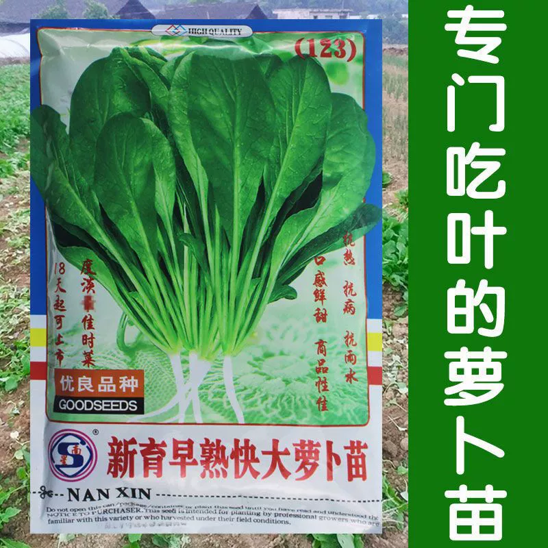 Раннеспелые и быстрорастущие рассада редиса, семена редиса, семена овощей, горшечные растения, легко выращиваются весной, летом, осенью и зимой, легко выращиваются в любое время года.